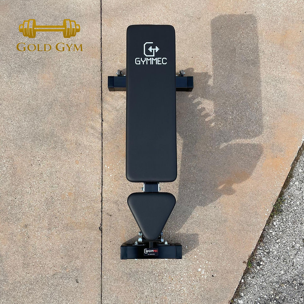 Adjustable bench Gymmec, panca regolabile professionale per palestra, adatta per allenamenti di forza, muscolazione e fitness
