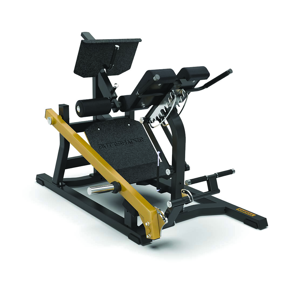 TOORX PRO LINE DUAL HYPER EXTENSION FWX10500 BUTT SHAPER LINE PLATE LOADED
