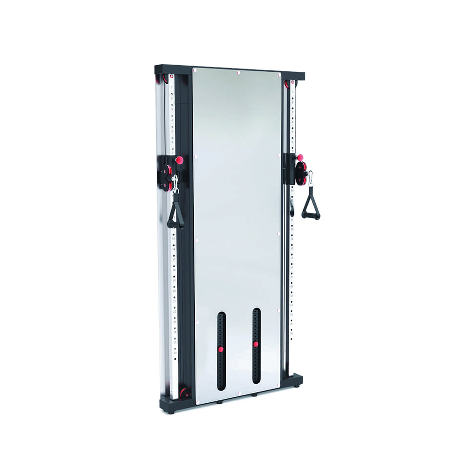 TOORX VERTICAL LINE POLIERCOLINA DUAL CABLE PRX3500