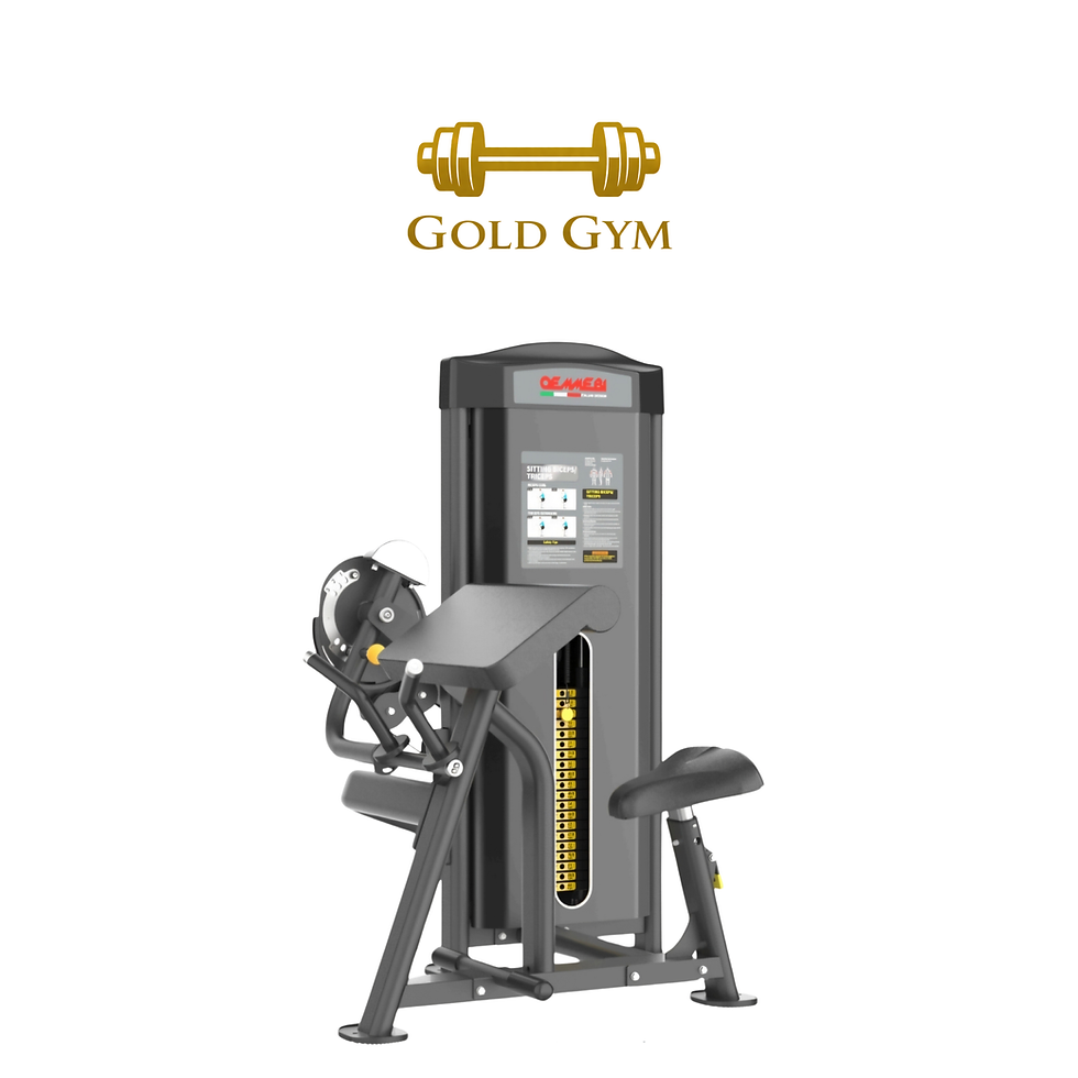 Oemmebi Dual Sitting Biceps Triceps attrezzo da palestra per allenamento bicipiti e tricipiti con pacco pesi regolabile