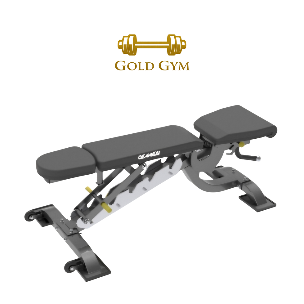 Oemmebi Adjustable Bench, panca regolabile per allenamento forza, attrezzatura da palestra professionale per esercizi con bil