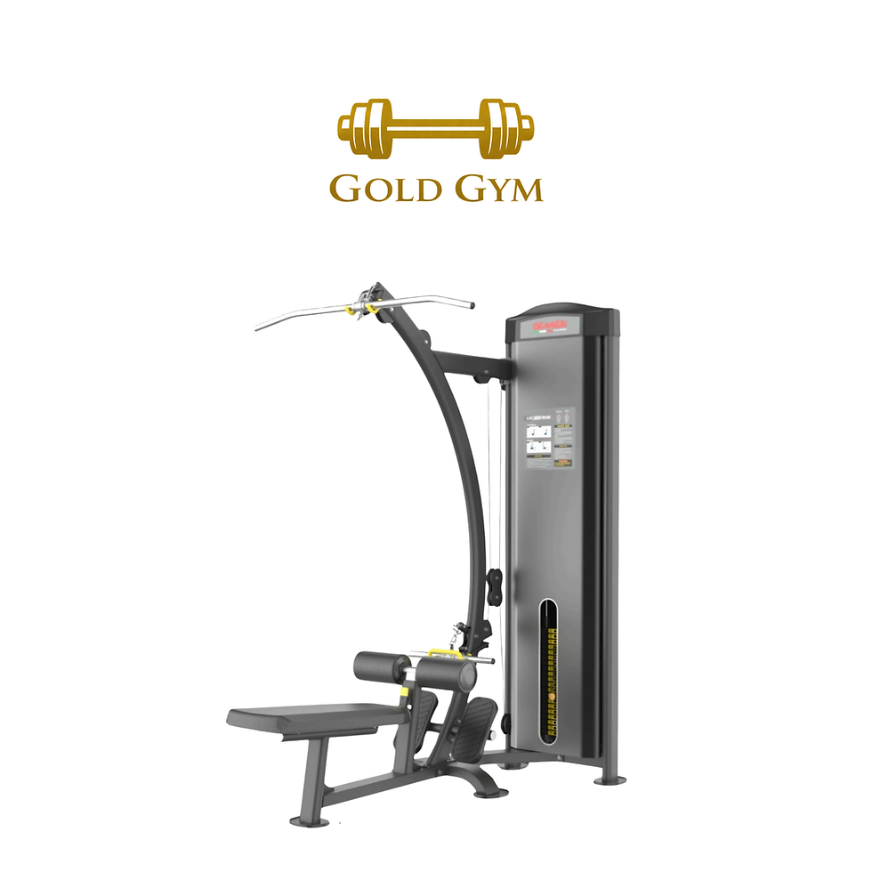 Oemmebi Dual Lat Machine Mid Row, attrezzo da palestra pro per allenamento schiena e bicipiti, ideale per allenamento