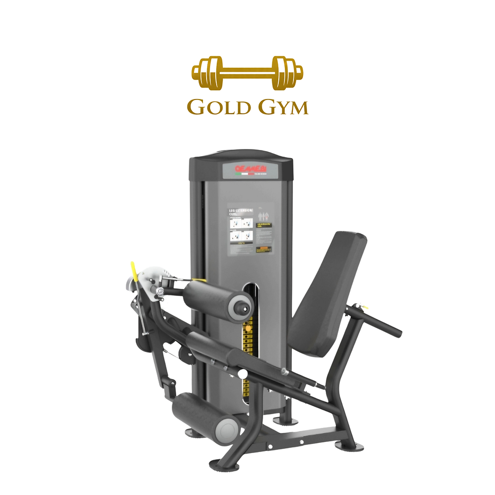 Oemmebi Dual Seated Leg Extension Leg Curl, attrezzo palestra per allenamento gambe, macchinario combinato per estensione