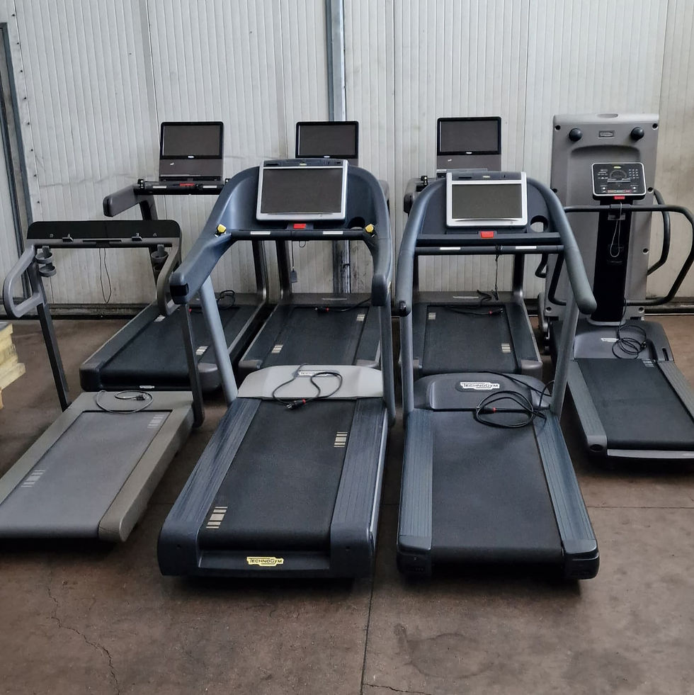 Technogym Tapis Roulant Professionali Palestra