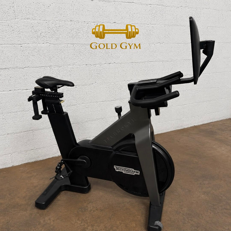 TECHNOGYM SPINNING SMART BIKE
