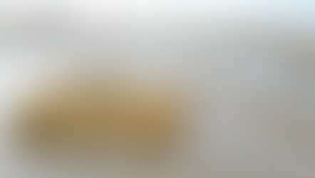 From Beach to Salt Marsh – The Quick Succession of Spartina With No Risk Assessment