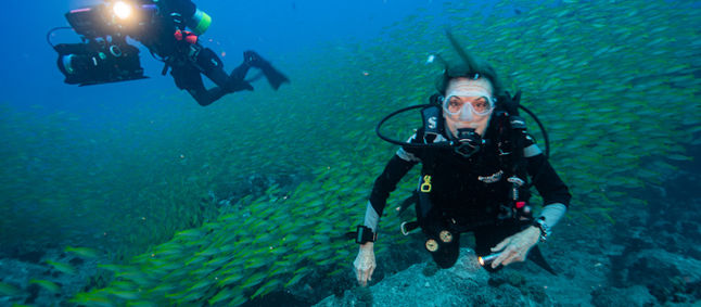 Sylvia Earle on the greatest threat to our oceans