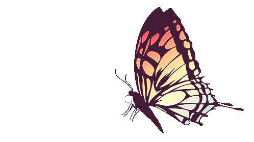 3198550527_1_2_fPhlztGV.gif