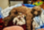20260714_094033 (1)