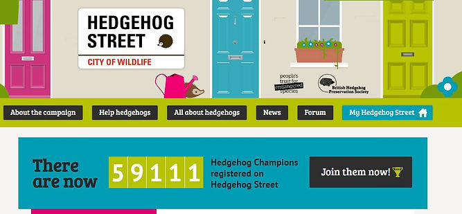 hedgehog street website.JPG