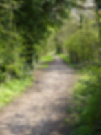 Bridle Way in Darras Hall