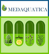 medaquatica_logo_2