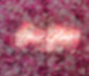 Hairglow_by_Claudia-1.jpg