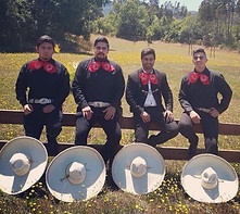 mariachis a domicilio en concepcion