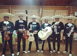 mariachis a domicilio