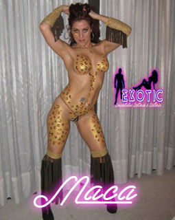 despedidas de solteros en santiago