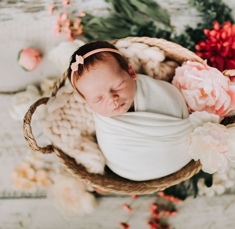 eagle river alaska newborn photography, eagle river baby photographer, photographer in eagle river, wedding photographer eagle river alaska