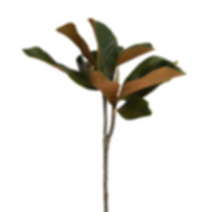 MAGNOLIA LEAF SPRAY 23.5" GREEN