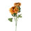 Miniatura: RANUNCULUS RUFFLED X2 22" ( 3 COLORS )