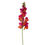 Miniatura: SNAPDRAGON STEM 31" ( 4 COLORS )