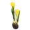 Miniatura: CROCUS PLANT WITH BULB 7.5" ( 3 COLORS )