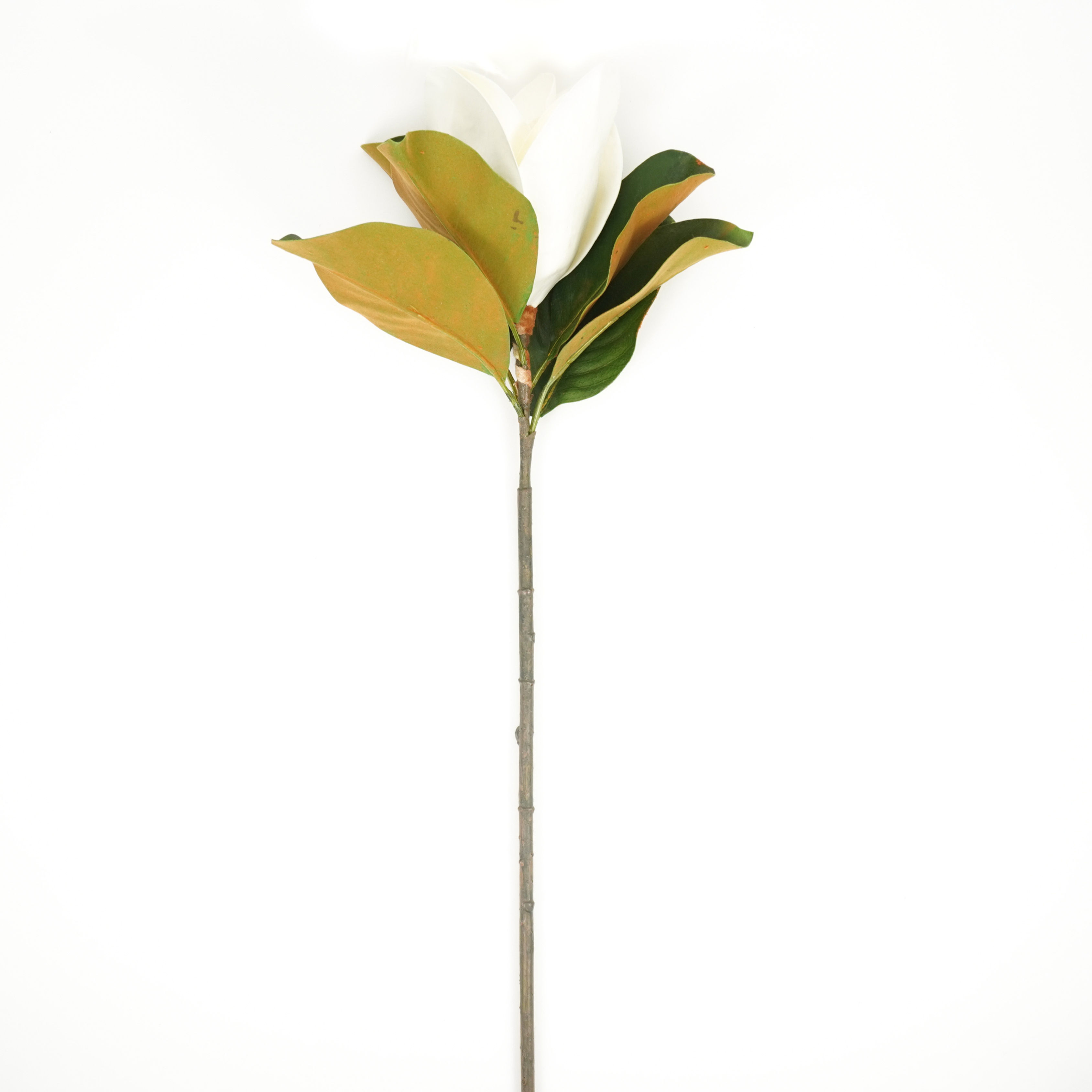 MAGNOLIA STEM 28" TWO-TONE WHITE