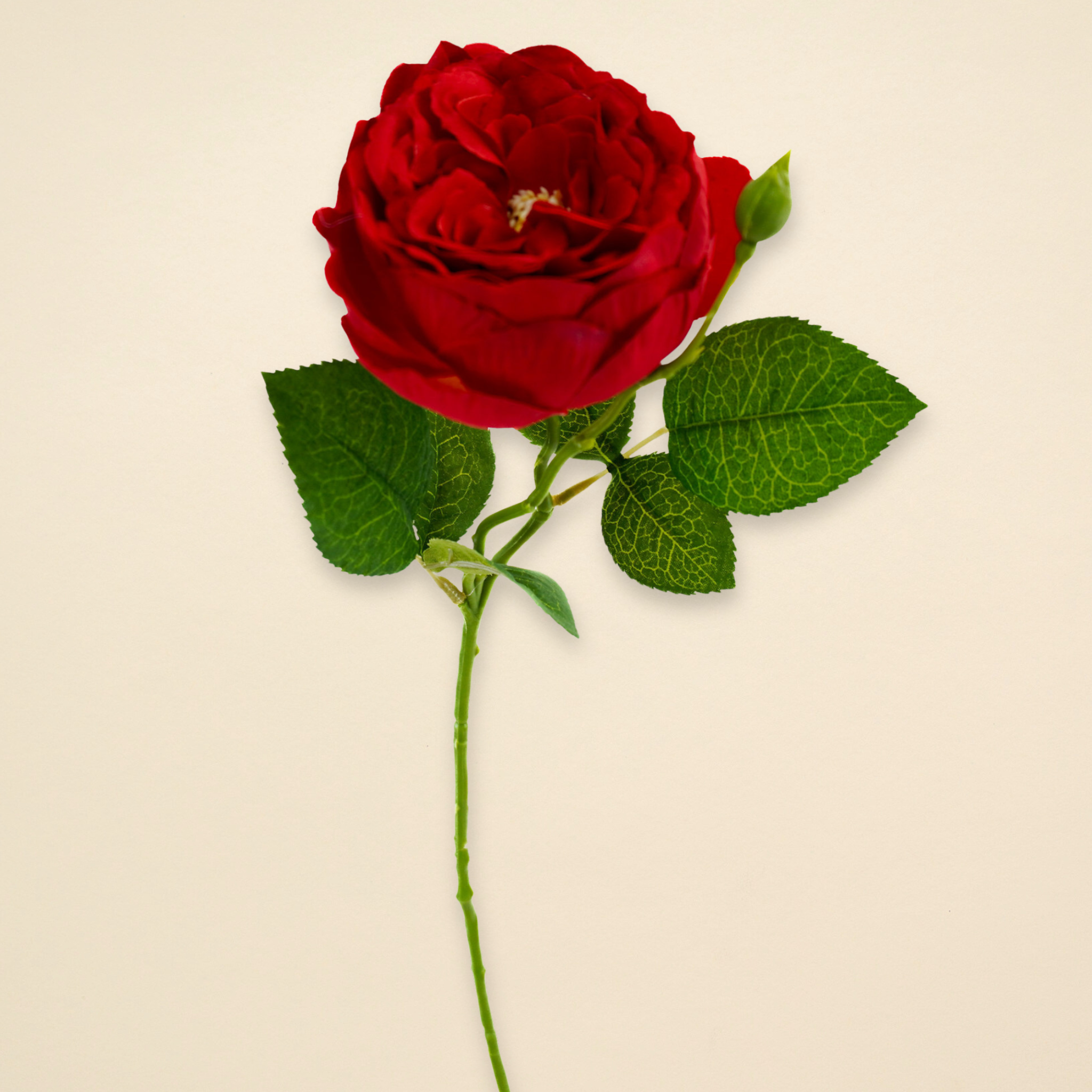 ROSE STEM GARDEN 18IN RED