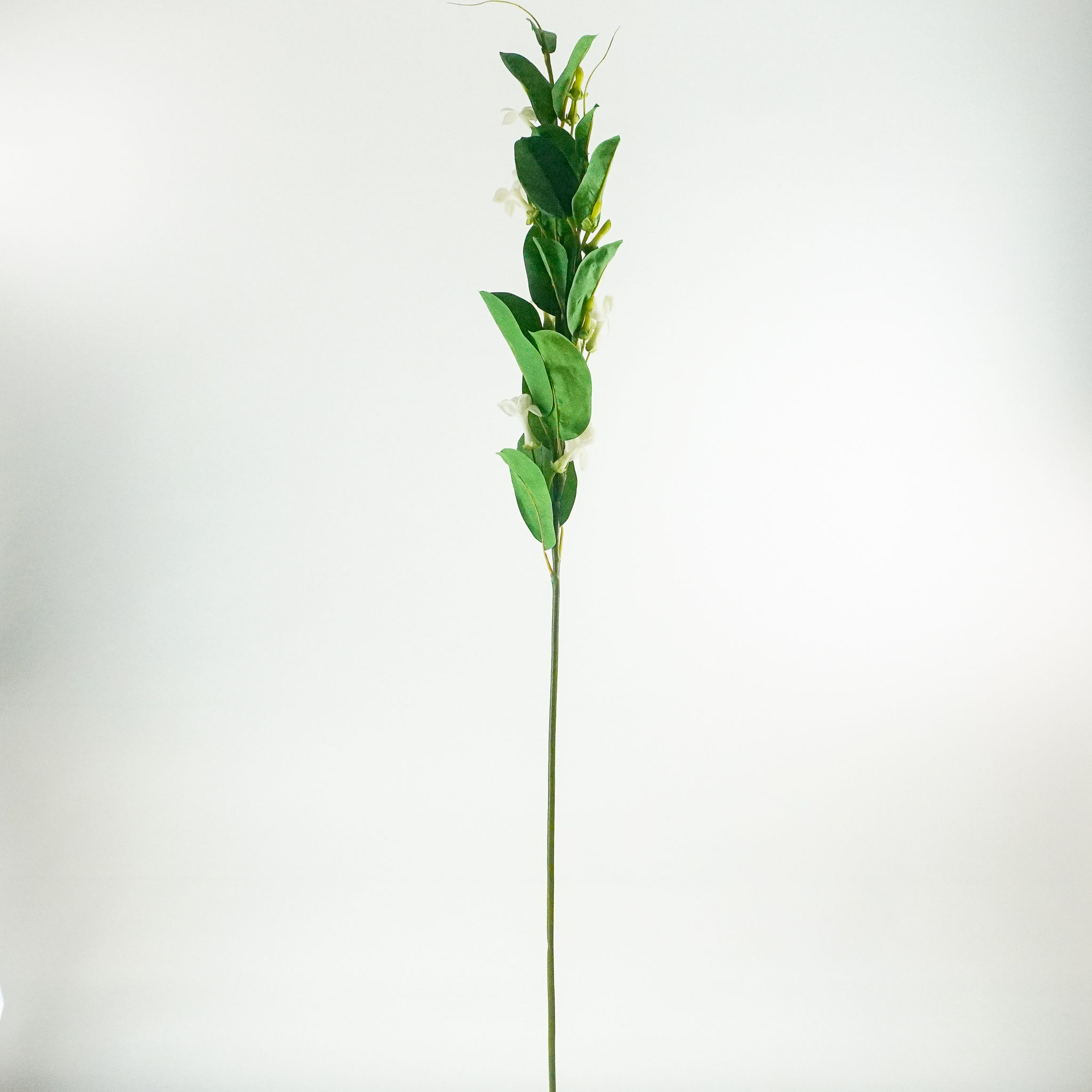 STEPHANOTIS 38.5IN WHITE