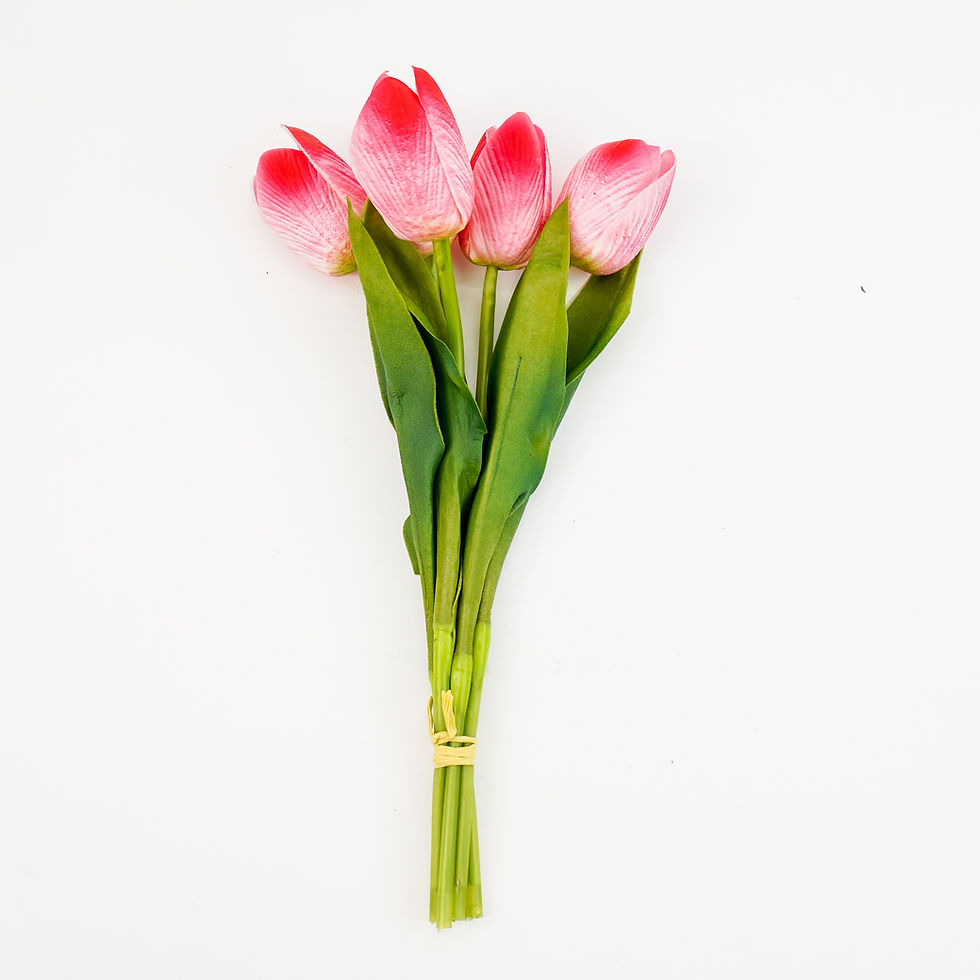 Thumbnail: TULIP BUNDLE X5 13IN ( 8 COLORS)