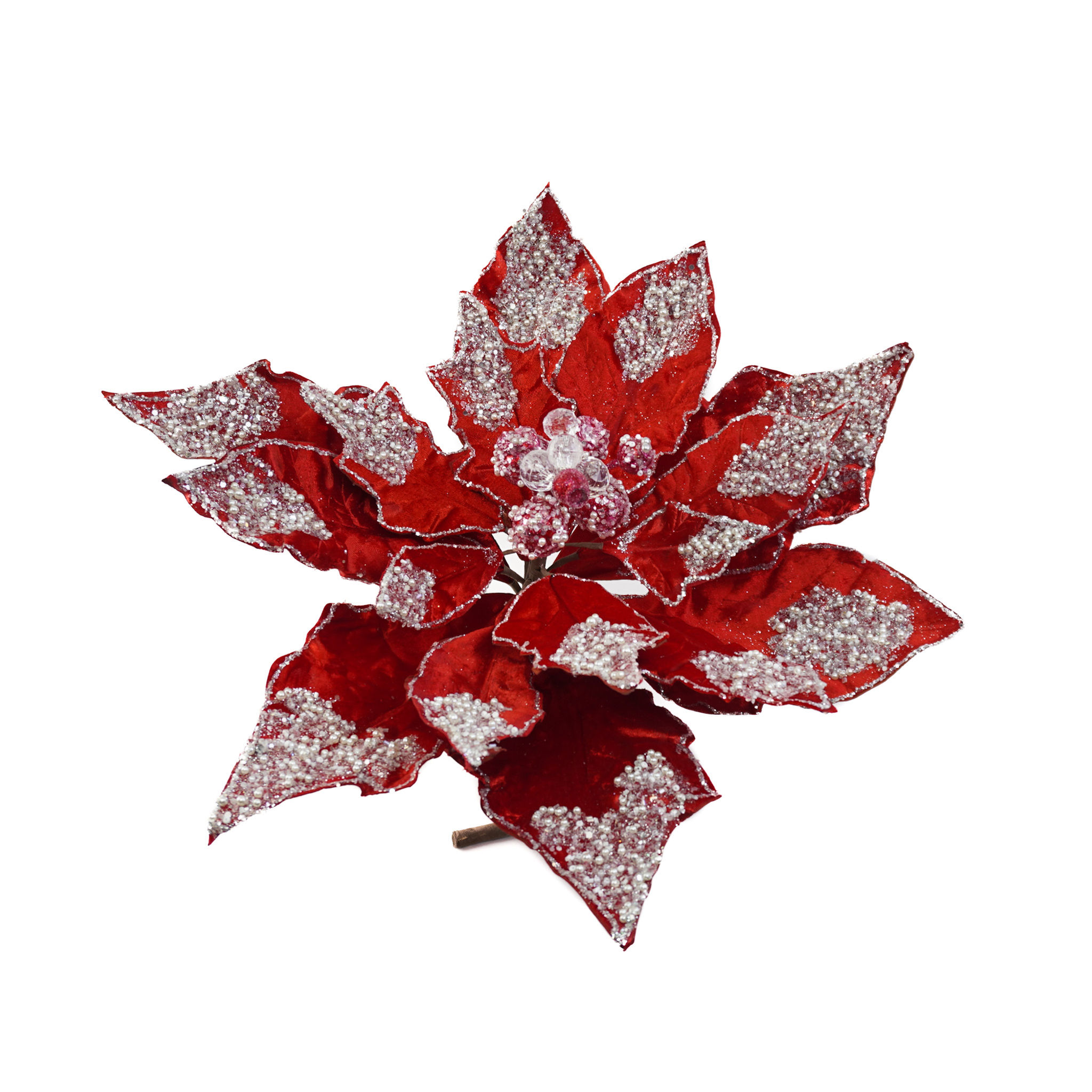 POINSETTIA 4XL PICK RED AND WHITE