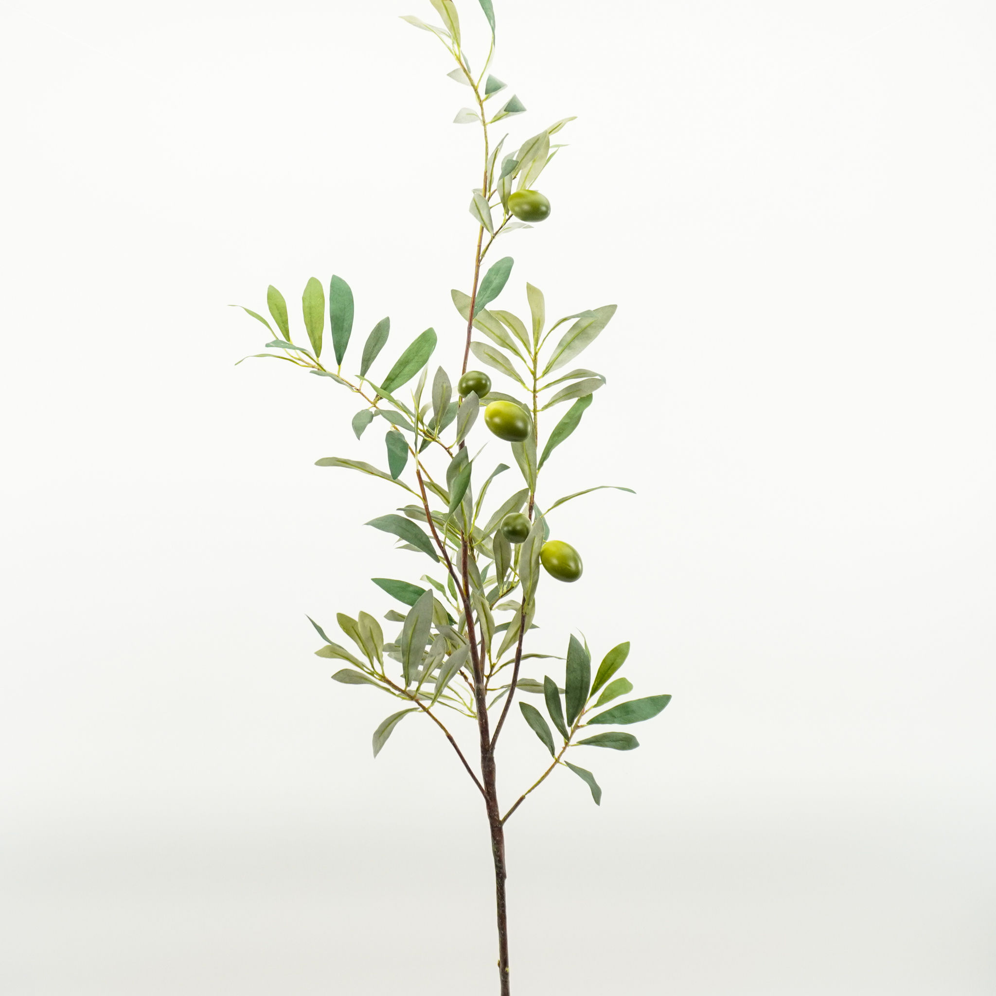 OLIVE STEM 34IN GREEN