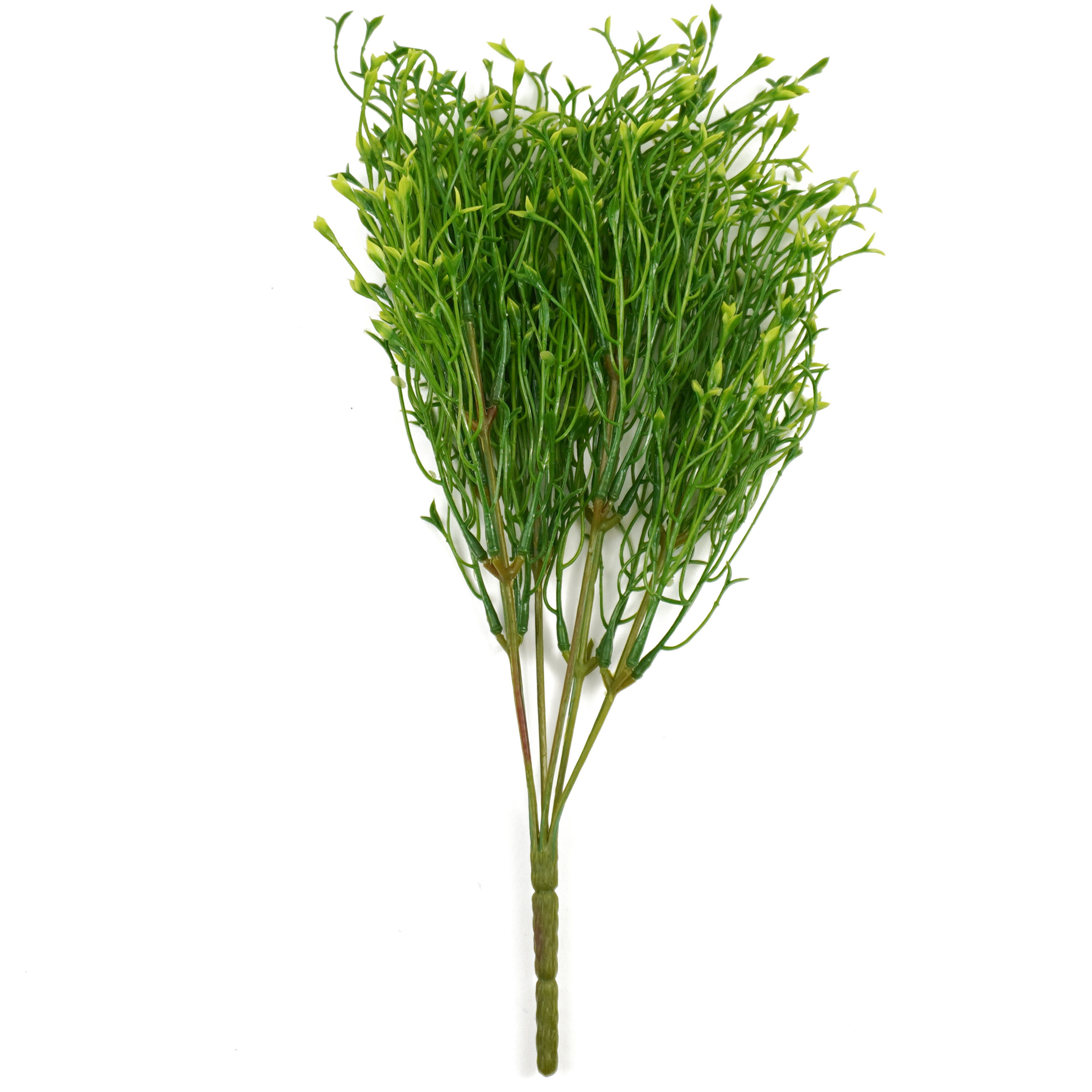 SPRAY BABY'S  TOOTH GRASS WITH 13IN GREEN