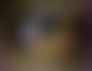 Encountering the Divine Christ