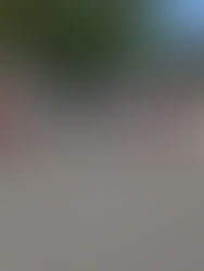 Rachel Llanes Off-Ice Workout