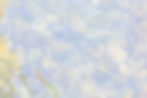 27620308_m_edited.jpg