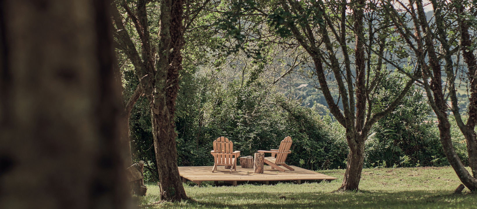 a Terraza en el bosque de manzanos.jpg