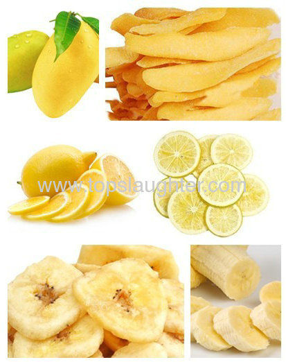 縮圖：Food drying machine/meat drying machine/fruit dryi