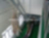 縮圖：Abattoir equipment goat automatic bloodletting lin