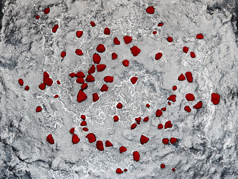 Painted Classic, Angela Maria Berger, Zellen, Künstlerin, Malerei, Ausstellung, Kreis Düren, Langerwehe, Kunst, Strukturen