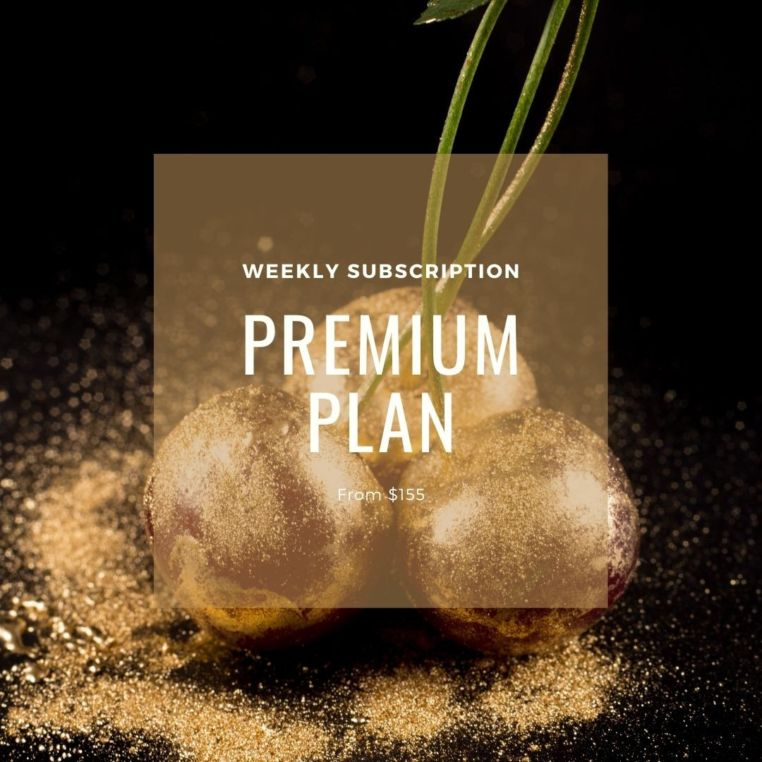 Premium Plan