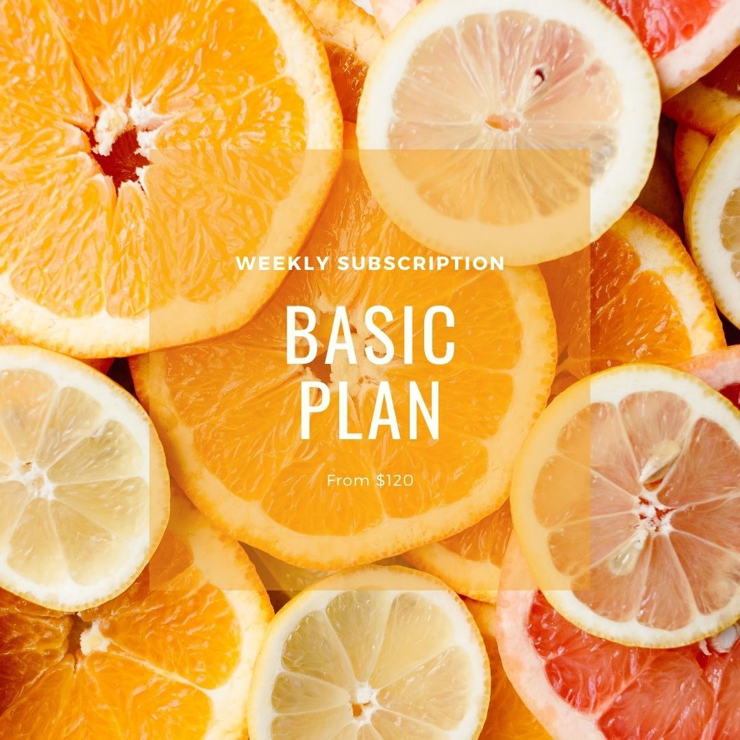Basic Plan