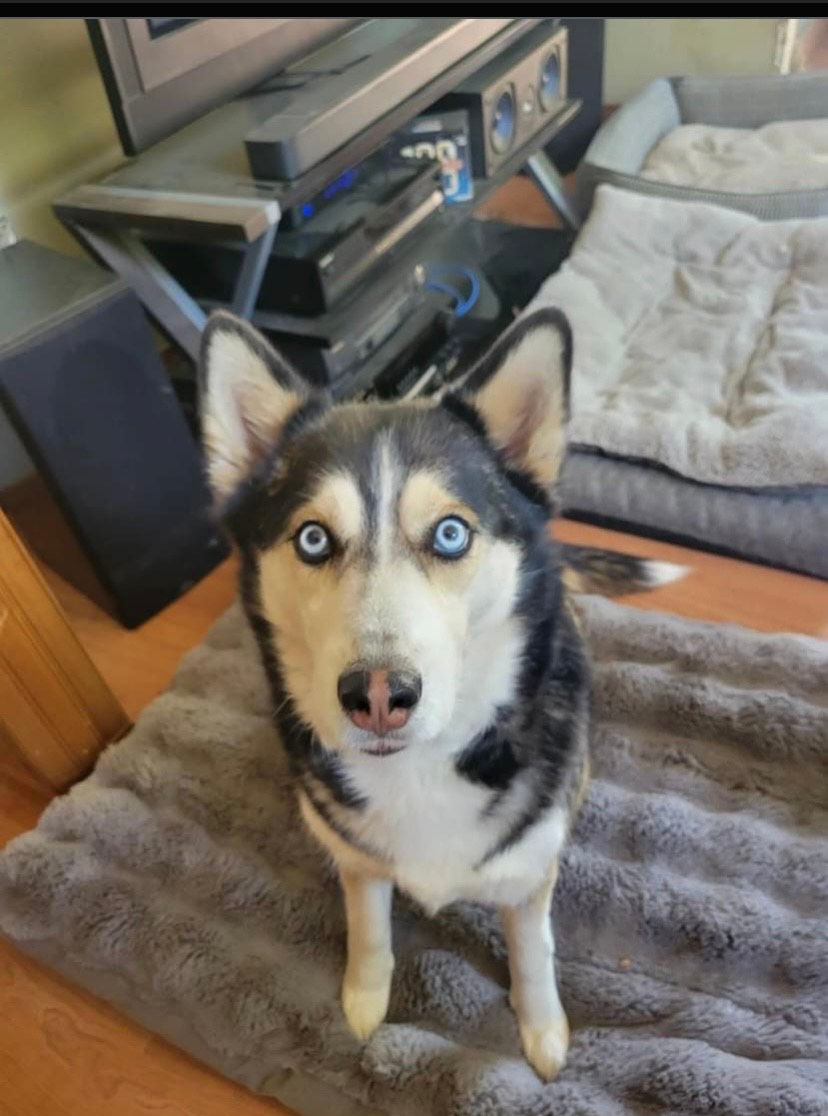Kasha