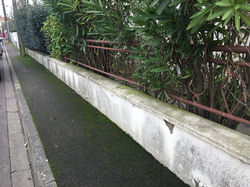 nettoyage-toiture-mousse-pollution