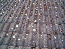 Nettoyage | Démoussage | Toiture |