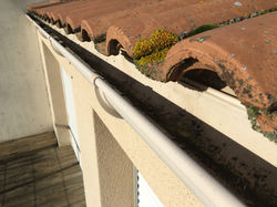 Nettoyage | Toiture | Mousse