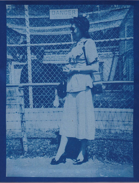 unaccustomed-beauty-contemporary-art-cyanotype-commission-danger-photo.jpg