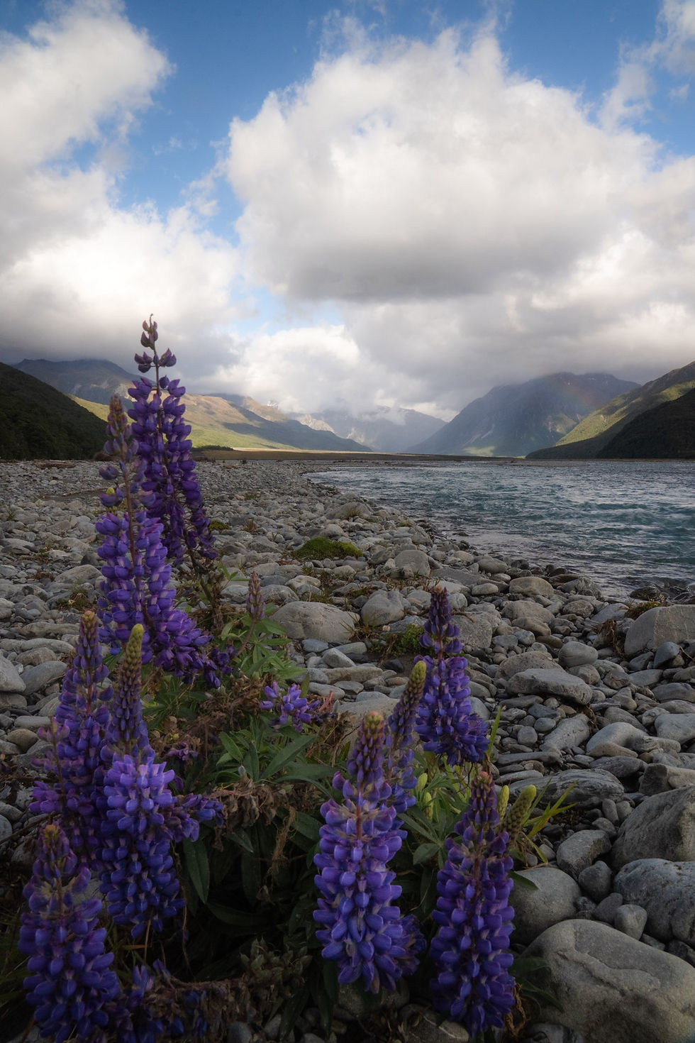 Te Araroa: Arthur’s Pass to Rakaia River