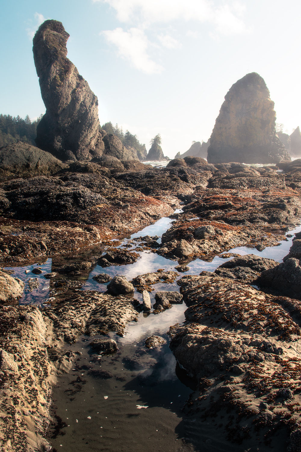 Low Tide Seastacks