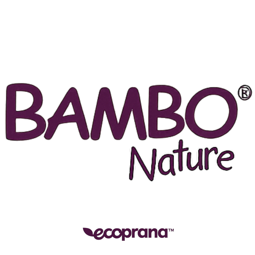 Bamboo Nature