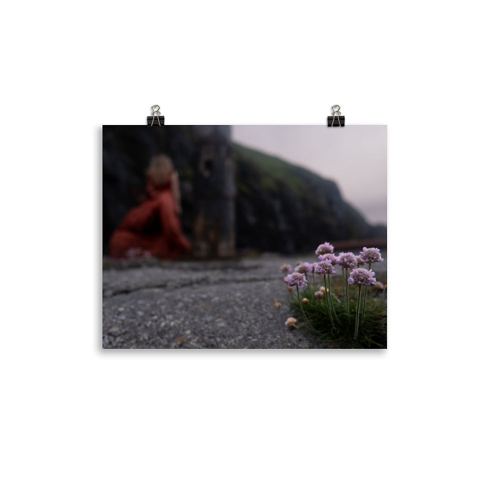 Purple flowers in the foreground with a woman in red in the distance with dark rocky surroundings